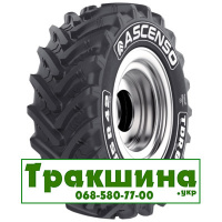 650/65 R42 Ascenso TDR 650 165D Сільгосп шина