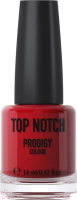 Лак для ногтей Top Notch Prodigy Colour 14 мл 216 Pamplona