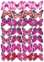 Вафельные картинки на тему: Бабочки