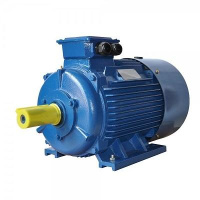 Электродвигатель АИР100S2