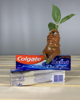 Зубна паста ю Colgate max fresh 100 мл