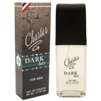 Мужская туалетная вода Charter Dark Key 100 мл