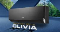 Clivia inverter -25°С