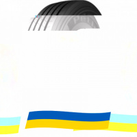 385/65 R22.5 Petlas SH110 164K Рулевая шина