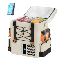 Аккумуляторный холодильник-рюкзак Litheli 16л, питание от павербанка (УМБ Litheli Power Bank 20000 mAh, 45W в комплекте)