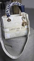 CHRISTIAN DIOR  Light Gold/Cream Embroidered Canvas Medium Lady D-lite