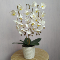 Штучна латексна тайська міні орхідея в білому пластику кашпо на три гілки біла