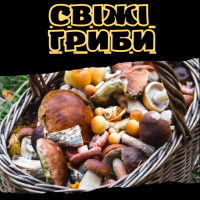 Свіжі гриби