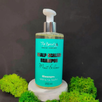 Шампунь для волос и кожи головы Top Beauty Мята-Лайм 250 мл