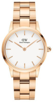 Часы Daniel Wellington DW00100209 Iconic Link 36mm Rose Gold