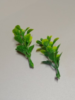 Зелень самшиту / 10 шт / 5 см