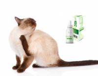 Eco Anti Toxin - капли от паразитов (Эко Анти Токсин)