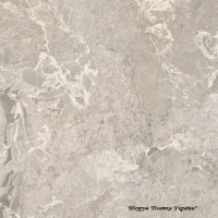 Плитка Cersanit PALMIRO Beige Matt 42x42