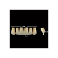 Акриловые зубы Tribos 501, фронт, верх - VR43 А3