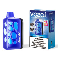 Vozol Rave 40000. Черника (Blueberry Ice)