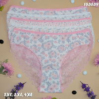 Трусы слипы женские Nicoletta Турция  батал  3XL, 4XL    5 шт.
