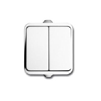 Выключатель двухклавишный наружный Neptun-2223