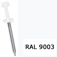 Саморіз для кріплення листового металу RAL 9003 (сигнальний білий) 4,8*19 мм