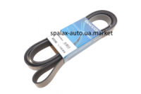 Ремінь полікліновий 7PK2842 Ford Transit 2.4 TDCi 06- DAYCO