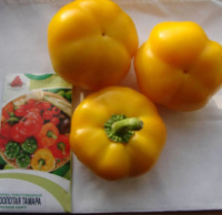 перець Золота Тамара
