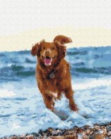 Картина за номерами «Собачка в морі» 40х50см