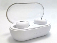 Бездротові навушники Bose TWS 2