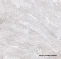 Teo Ceramics Bruno Grey F P 600x600x8 RN Mat