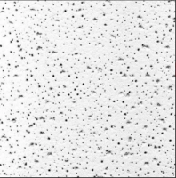 Плита  600*600*13 Подвесной Потолок Armstrong (Плита Ecomin PLANET board 600х600х13 (18 шт/упак.)Knauf)