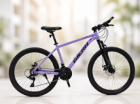 Велосипед GIEREN 8000 R29 Фіолетовий