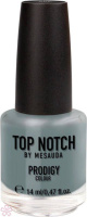 Лак Top Notch Top Notch Prodigy Nail Color 14 мл 267 WILD FOREST