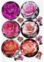 Картинки на пряники и капкейки; приглашения; визитки