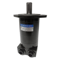 Гідромотор MMF S32CP