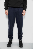 Спортивні штани чоловічі, колір синій, 244R434