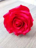 Троянда кудрява «Червона» №8
