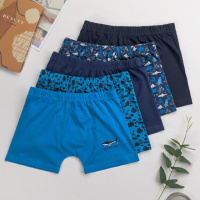 Труси дитячі для хлопчика Nicoletta вік: 2-3, 4-5, 6-7, 8-9, 10-11,12-13 років 5 шт.