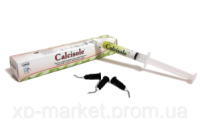 Паста гидроксидкальциевая регенерирующая Кальцизоль (Calcisole), 4г