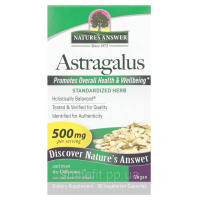 Астрагал, 500 мг, Astragalus, Nature's Answer, 60 вегетаріанських капсул