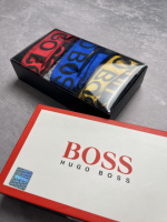 Комплект шкарпетки + труси Hugo Boss