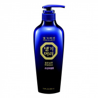 DAENG GI MEO RI ChungEun Shampoo for oily scalp