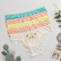 Труси жіночі сліпи Nicoletta Туреччина  M, L, XL   5 шт.