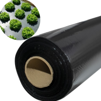 Мульча 30 мкм 0.8м*1000м пленка для мульчирования грунта и ландшафтного дизайна