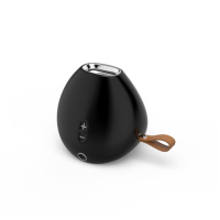 Портативна колонка Bluetooth HOPESTAR A10