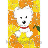 Полотно на картоні з контуром, „Собачка в апельсинах“, 20х30, бавовна, акрил