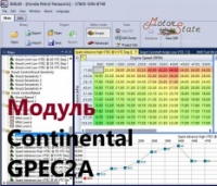 Модуль редактора прошивок BitEdit - Continental GPEC2A