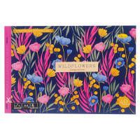 Альбом для рисования АП-0305-6, 40 листов, скоба с перфорацией