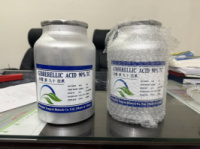 Гиббереллин А3