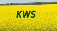 KWS