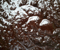 Масляний скраб для тіла 250 гр