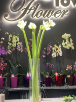 Купити, замовити квіти, букет Доставка Поділ Київ від Flower Love ⭐