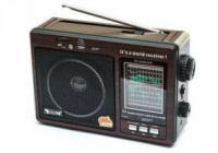 Радіо Golon RX 9966 (коричн.прозр.сєтка)